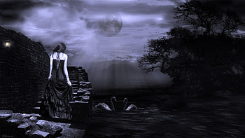 ◑๑✽๑◐ ♡ ◑๑✽๑◐, two, black, night time, land, black dress, lady, moonlight, moon, water, gothic, brunette, dark, tree, lake, swans, fantasy, stone, bridge HD wallpaper