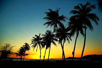 Beautiful, sea, sunsets, sky, mountains, palm trees HD wallpaper