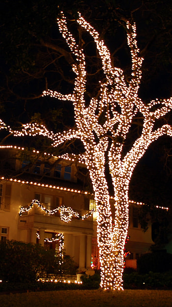 Christmas Lightings, Christmas Lights HD phone wallpaper