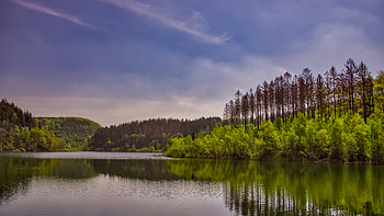Nature, Trees, Sky, Clouds, Bush, Lake, Reflection HD wallpaper