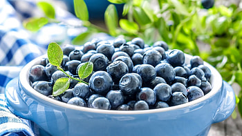 Food, Blueberry backgrounds, High resolution HD wallpaper