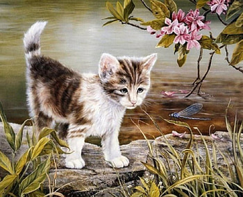 Lovely Kitten, animal, kitten, cat, flowers HD wallpaper