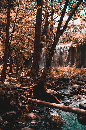 Nature, Rivers, Trees, Autumn, Waterfall, Forest HD phone wallpaper