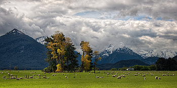 Nature, Sky, Mountains, Clouds, Alps, Valley, Sheep, Pasture, Sheeps, Foot HD wallpaper