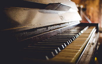 Melodic beauty, Musical elegance, Captivating performances, Artistic expressions HD wallpaper