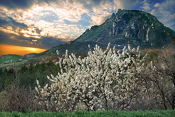 Spring in Mountains, art , white, beautiful, spring, clouds, flowers, sky, mountains, sunset HD wallpaper