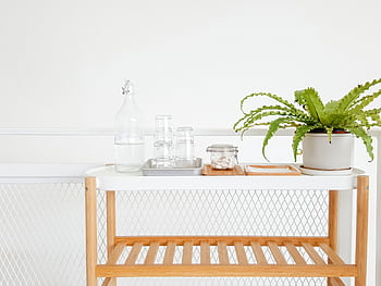 A stylish and modern beverage stand featuring a plant and water bottle in a clean indoor setting. HD wallpaper