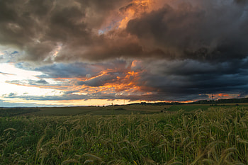 Landscape, Nature, Clouds, Summer, Field HD wallpaper
