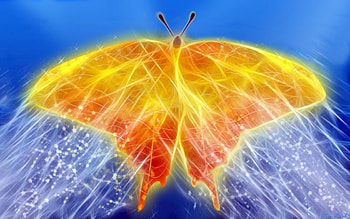 Abstract, Shine, Bird, Brilliance, Butterfly, Points, Point HD wallpaper