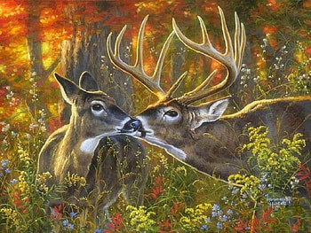 loving ders, nature, mountains, animals, deer HD wallpaper