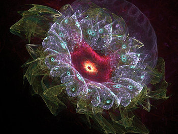 Flower Fractal, nature, fractal, 3d, flower HD wallpaper