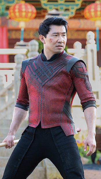 Shang chi fighting mod, fighting, mod, shang chi the legend of ten rings HD phone wallpaper