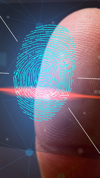 Fingerprint, Biometric Identification HD phone wallpaper