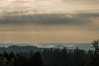 Nature, Horizon, Forest, Morning, Dahl, Distance, Black Forest HD wallpaper