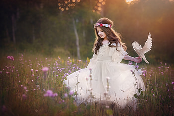 Little girl with a dove, summer, white, dove, bird, pasare, girl, child, copil HD wallpaper