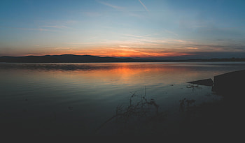 Nature, Sunset, Horizon, Shore, Bank, Branches HD wallpaper