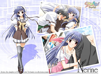 Nerine, anime girl, girl, anime HD wallpaper
