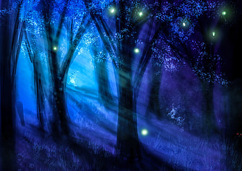 Trees, Art, Night, Shine, Light, Forest HD wallpaper