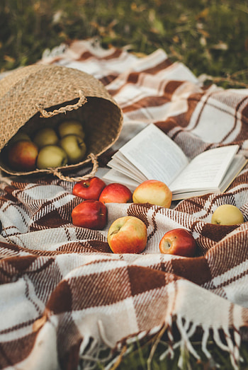 Apples, Miscellanea, Miscellaneous, Book, Basket, Plaid HD phone wallpaper