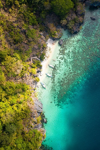 Nature, Water, Trees, View From Above, Coast, Forest HD phone wallpaper