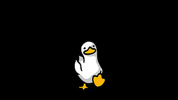Duck Walking Illustration, duck, artist, artwork, digital-art, dark, black, oled HD wallpaper