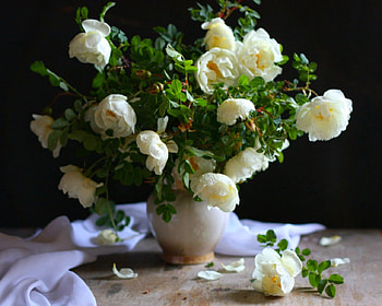 Still life, table, vase, flowers HD wallpaper