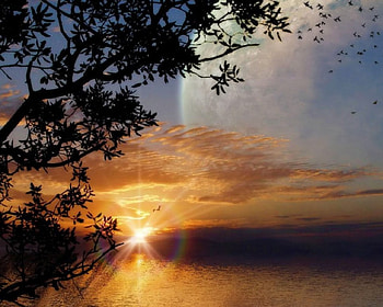 sunset, sky, planet, sun, tree HD wallpaper