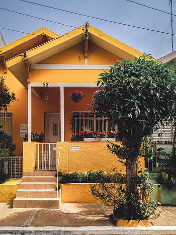 Bright yellow house with lush garden, vibrant flowers, and welcoming porch entrance. HD phone wallpaper