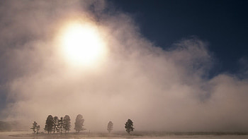 sunrise hidden by morning fog, shore, fog, trees, lake, sunrise HD wallpaper