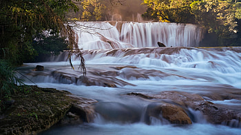 Cascadas de Agua Azul, Chiapas, Mexico, trees, cascades, river, rocks HD wallpaper