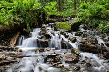 Peaceful waterfall cascading through lush forest, surrounded by mossy rocks and ferns. HD wallpaper