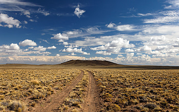 Nature, Desert, Road, Vegetation HD wallpaper