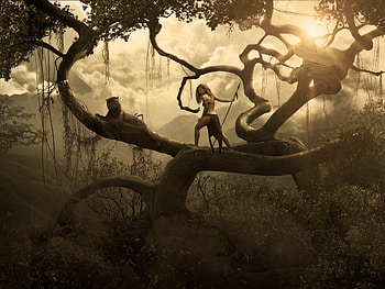 Girl and panther, summer, creative, fantasy, black panther, jungle, girl, luminos HD wallpaper