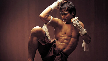 Thai actors, Tony Jaa, Muay Thai, Ong-Bak HD wallpaper