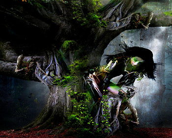 NATURE's BEAUTY, fog, roots, branches, woman, beauty, tree HD wallpaper