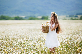 Beauty, basket, lady, model, floral, flowers HD wallpaper