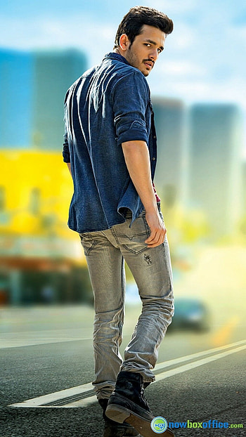 Akhil Akkineni, Tollywood, Akhil Akkineni Tollywood Actor HD phone wallpaper