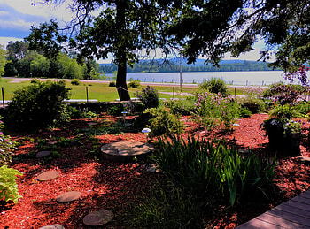 Flower Garden Variety, graphy, Flowers, Lake, Nature, Shadows, Garden HD wallpaper