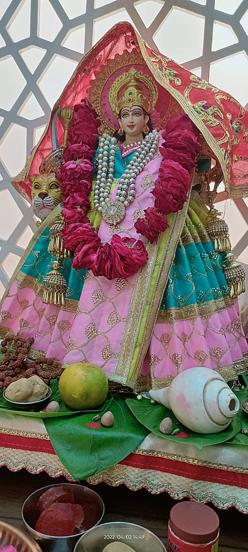 Sherawali maa, lei, magenta HD phone wallpaper
