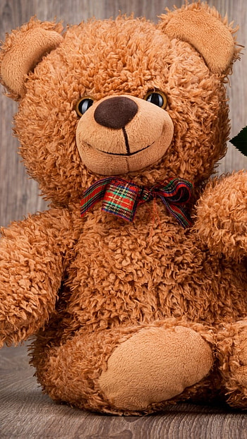 Cute Teddy, Beautiful, Brown, Teddy HD phone wallpaper
