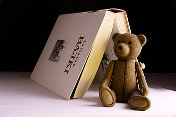 Miscellanea, Miscellaneous, Bear, Toy, Book HD wallpaper