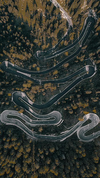 Nature, Trees, View From Above, Road, Markup, Forest, Winding, Sinuous HD phone wallpaper