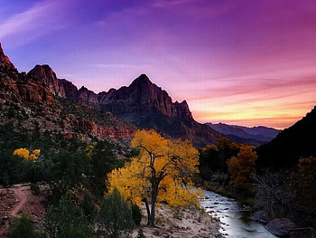 Colors of Nature, , yellow, colors, cool, nature, tree HD wallpaper