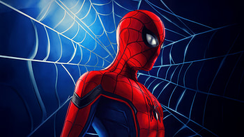 Champion Spiderman, spiderman, superheroes, artwork, art, digital-art HD wallpaper