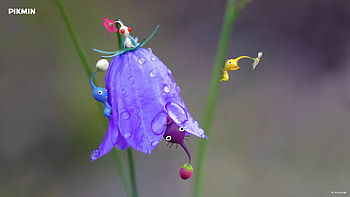 Pikmin 4 HD wallpaper