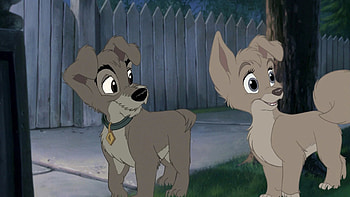 Angel and Scamp, Lady and the Tramp HD wallpaper