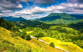 Sunny countryside, Fields, Forest, Grass, Trees, Road, Hills HD wallpaper