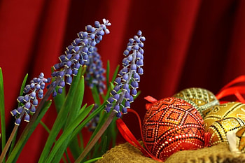 Easter Eggs and Grape Hyacinth, Hyacinth, basket, Easter eggs, grape hyacinth, Easter, flowers, eggs HD wallpaper