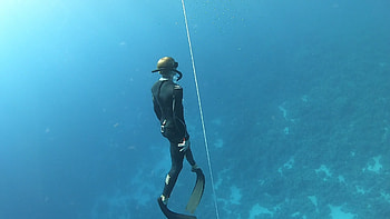 Ascending, Diving HD wallpaper