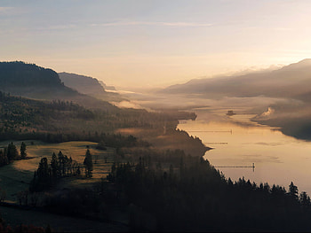 Foggy River, river, fog, landscape, trees, sky, forest HD wallpaper